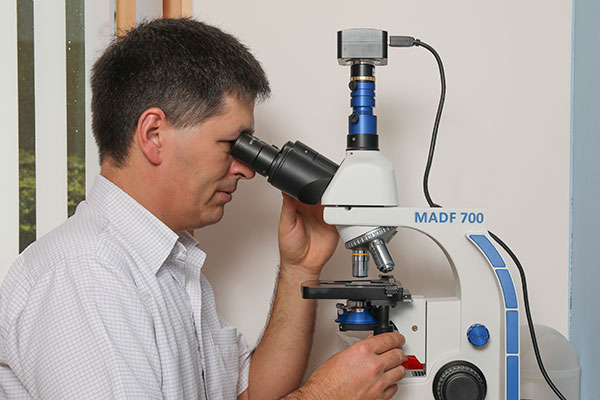 Dunkelfeld - Mikroskop